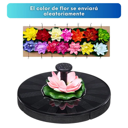 Fuente de Agua Solar - FOUNTAIN PARADISE