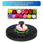 Fuente de Agua Solar - FOUNTAIN PARADISE